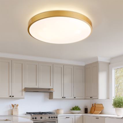 Brilagi - LED-dæmpbar loftlampe GLASS POOL DOUBLE LED/80W/230V 3000-6000K 60 cm guld + fjernbetjening