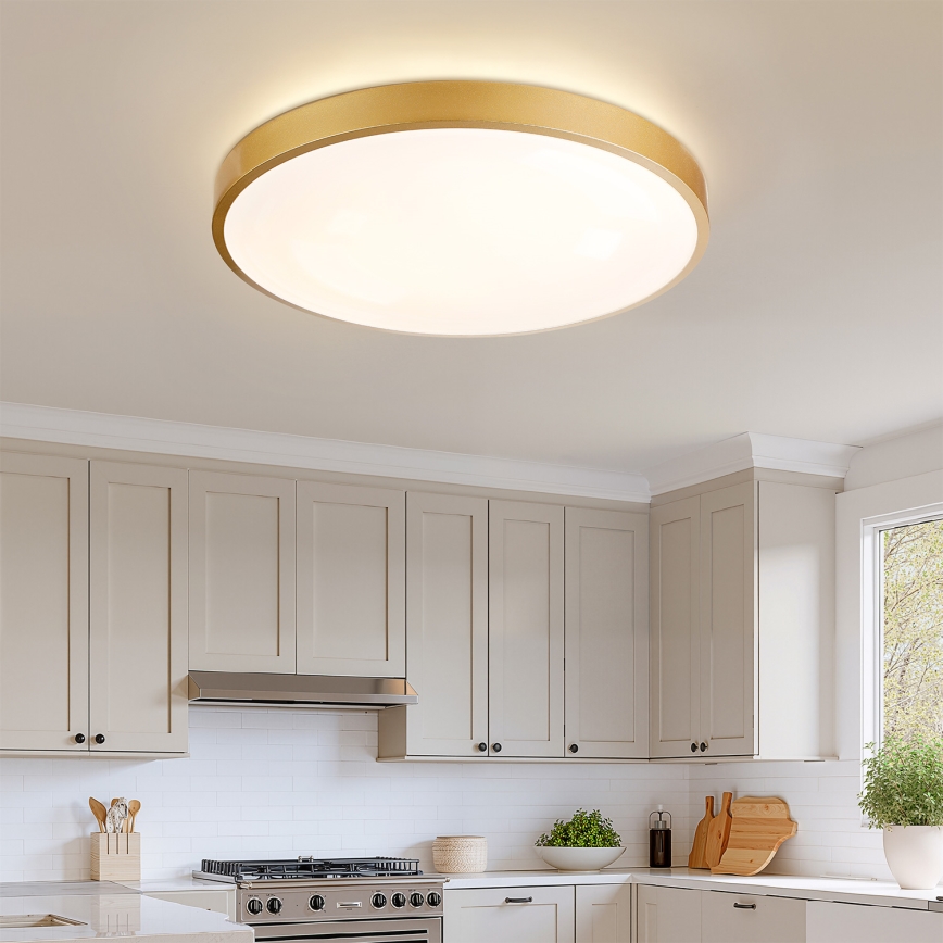 Brilagi - LED-dæmpbar loftlampe GLASS POOL DOUBLE LED/80W/230V 3000-6000K 60 cm guld + fjernbetjening