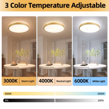 Brilagi - LED-dæmpbar loftlampe GLASS POOL DOUBLE LED/80W/230V 3000-6000K 60 cm guld + fjernbetjening