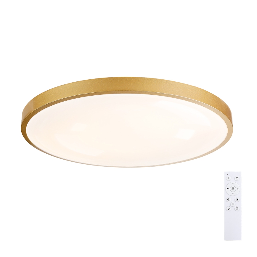 Brilagi - LED-dæmpbar loftlampe GLASS POOL DOUBLE LED/80W/230V 3000-6000K 60 cm guld + fjernbetjening