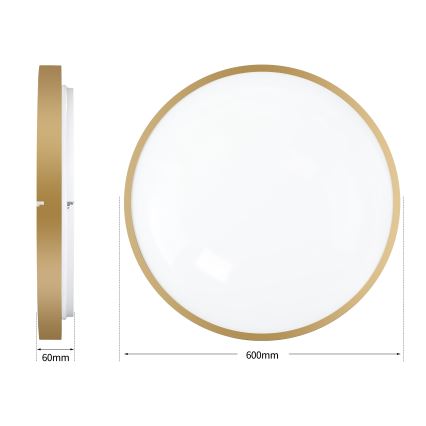 Brilagi - LED-dæmpbar loftlampe GLASS POOL DOUBLE LED/80W/230V 3000-6000K 60 cm guld + fjernbetjening