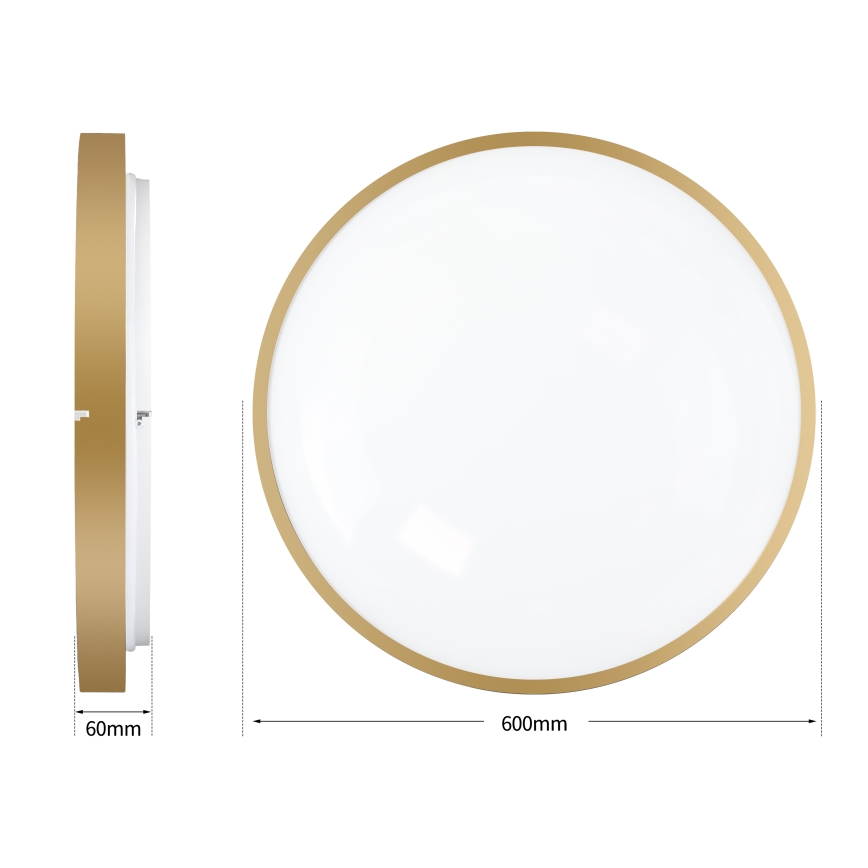 Brilagi - LED-dæmpbar loftlampe GLASS POOL DOUBLE LED/80W/230V 3000-6000K 60 cm guld + fjernbetjening