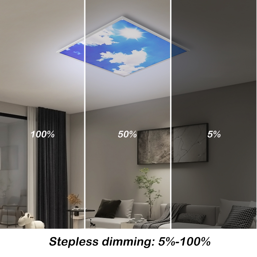 Brilagi - LED dæmpbar loftlampe SLIMFRAME SKY LED/58W/230V 60x60 cm 3000-6000K sølv/blå + fjernbetjening