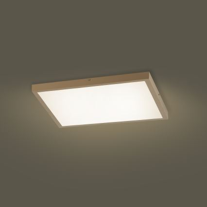 Brilagi - Dæmpbar LED badeværelsesloftlampe FRAME SMART LED/50W/230V 60x60 cm 3000-6000K IP44 beige + fjernbetjening