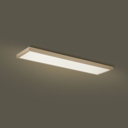 Brilagi - Dæmpbar LED-badeværelsesloftlampe FRAME SMART LED/50W/230V 120x30 cm 3000-6000K IP44 beige + fjernbetjening