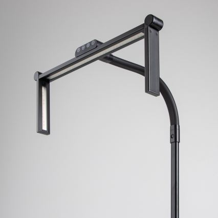 BRILAGI - Dæmpbar berøringsbetjent skrivebordslampe med klemme VARIO LED/24W/230V 3000-6500K CRI 92 sort
