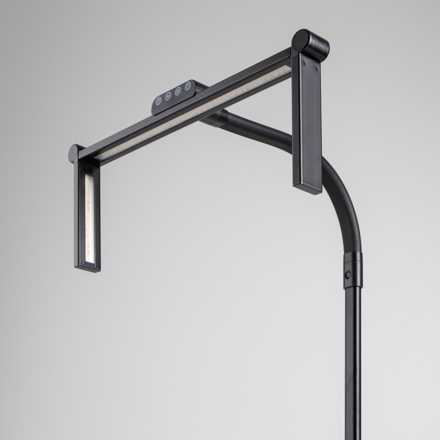 BRILAGI - Dæmpbar berøringsbetjent skrivebordslampe med klemme VARIO LED/24W/230V 3000-6500K CRI 92 sort