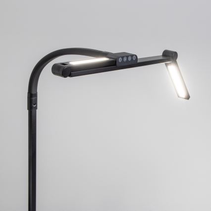 BRILAGI - Dæmpbar berøringsbetjent skrivebordslampe med klemme VARIO LED/24W/230V 3000-6500K CRI 92 sort