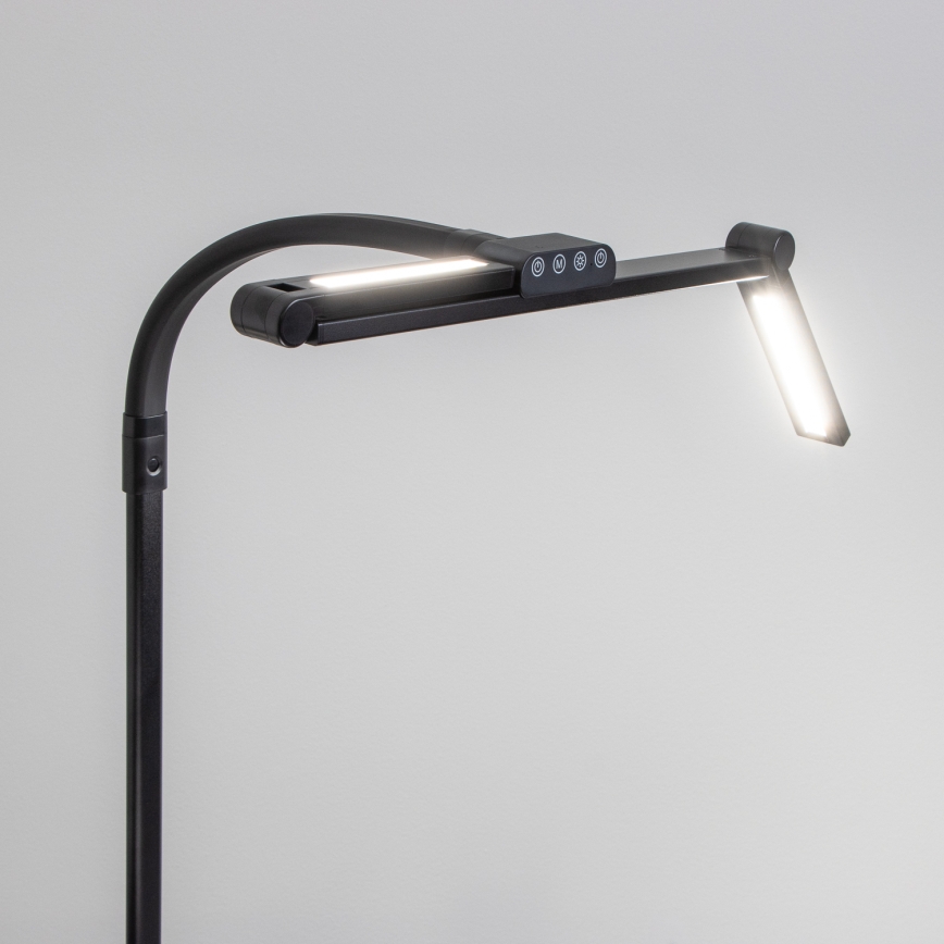 BRILAGI - Dæmpbar berøringsbetjent skrivebordslampe med klemme VARIO LED/24W/230V 3000-6500K CRI 92 sort