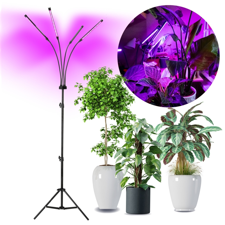 Brilagi - LED Dæmpbar fleksibel gulvlampe til plantevækst VITABLOOM 4xLED/7,5W/230V sort
