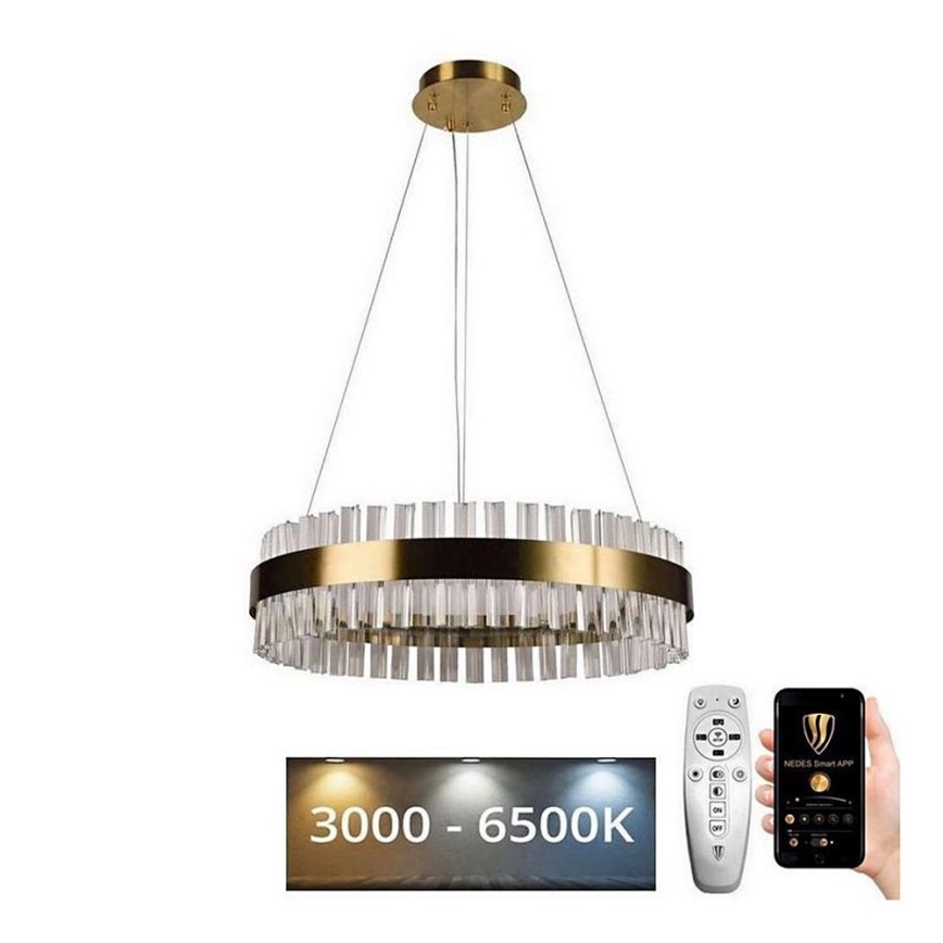 Brilagi - LED Dæmpbar krystal pendel på snor HALO LED/40W/230V + fjernbetjening