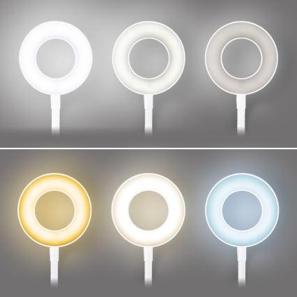 Brilagi - LED-dæmpbar lampe med klemme ORBELA LED/8W/5V 3000/4000/5000K hvid