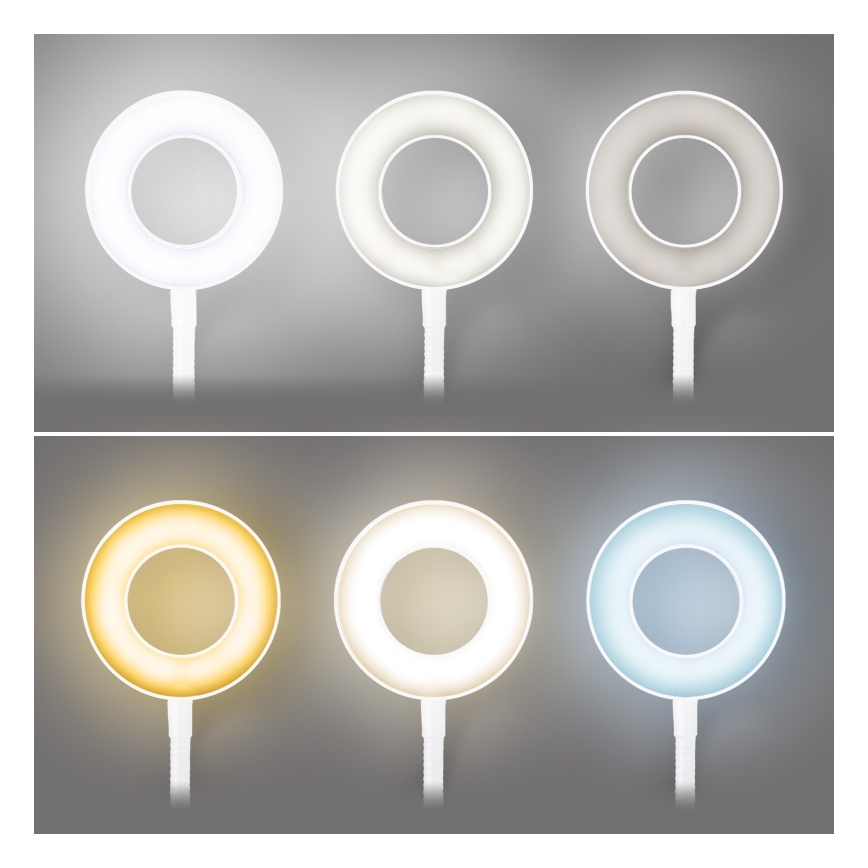 Brilagi - LED-dæmpbar lampe med klemme ORBELA LED/8W/5V 3000/4000/5000K hvid