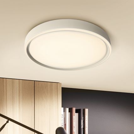 Brilagi - LED dæmpbar loftlampe NANCI LED/60W/230V 3000-6500K Ø 49 cm sølvfarvet + fjernbetjening