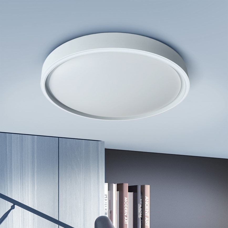 Brilagi - LED dæmpbar loftlampe NANCI LED/60W/230V 3000-6500K Ø 49 cm sølvfarvet + fjernbetjening