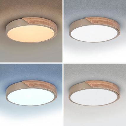 BRILAGI - LED dæmpbar loftlampe PILANA LED/48W/230V 3000-6500K eg/beige Ø 40 cm + fjernbetjening