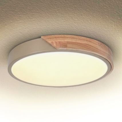 BRILAGI - LED dæmpbar loftlampe PILANA LED/48W/230V 3000-6500K eg/beige Ø 40 cm + fjernbetjening