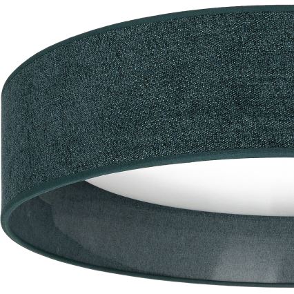 Brilagi - LED dæmpbar loftlampe VELVET SMART VARI LED/36W/230V 3000-6500K Ø 55 cm grøn + fjernbetjening