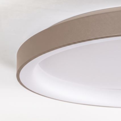 BRILAGI - LED-dæmpbar loftlampe FALCON II LED/108W/230V 3000-6500K Ø 80 cm hvid/beige + fjernbetjening