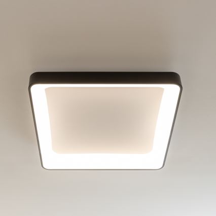 Brilagi - LED dæmpbar loftlampe FALCON II LED/125W/230V 3000-6500K 60x60 cm sort + fjernbetjening