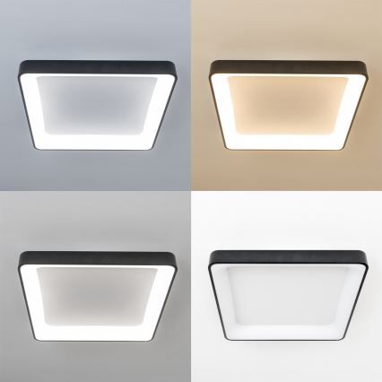 Brilagi - LED dæmpbar loftlampe FALCON II LED/125W/230V 3000-6500K 60x60 cm sort + fjernbetjening