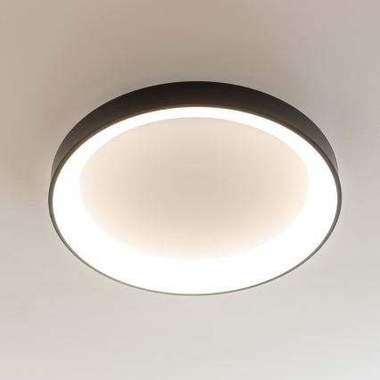 Brilagi - LED dæmpbar loftlampe FALCON II LED/99W/230V 3000-6500K Ø 60 cm sort + fjernbetjening