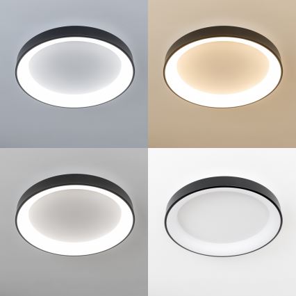 Brilagi - LED dæmpbar loftlampe FALCON II LED/99W/230V 3000-6500K Ø 60 cm sort + fjernbetjening