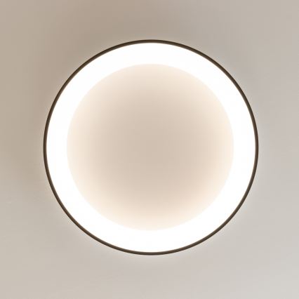 Brilagi - LED dæmpbar loftlampe FALCON II LED/99W/230V 3000-6500K Ø 60 cm sort + fjernbetjening