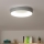 Brilagi - LED dæmpbar loftlampe FALCON LED/40W/230V 3000-6500K Ø 45 cm grå + fjernbetjening