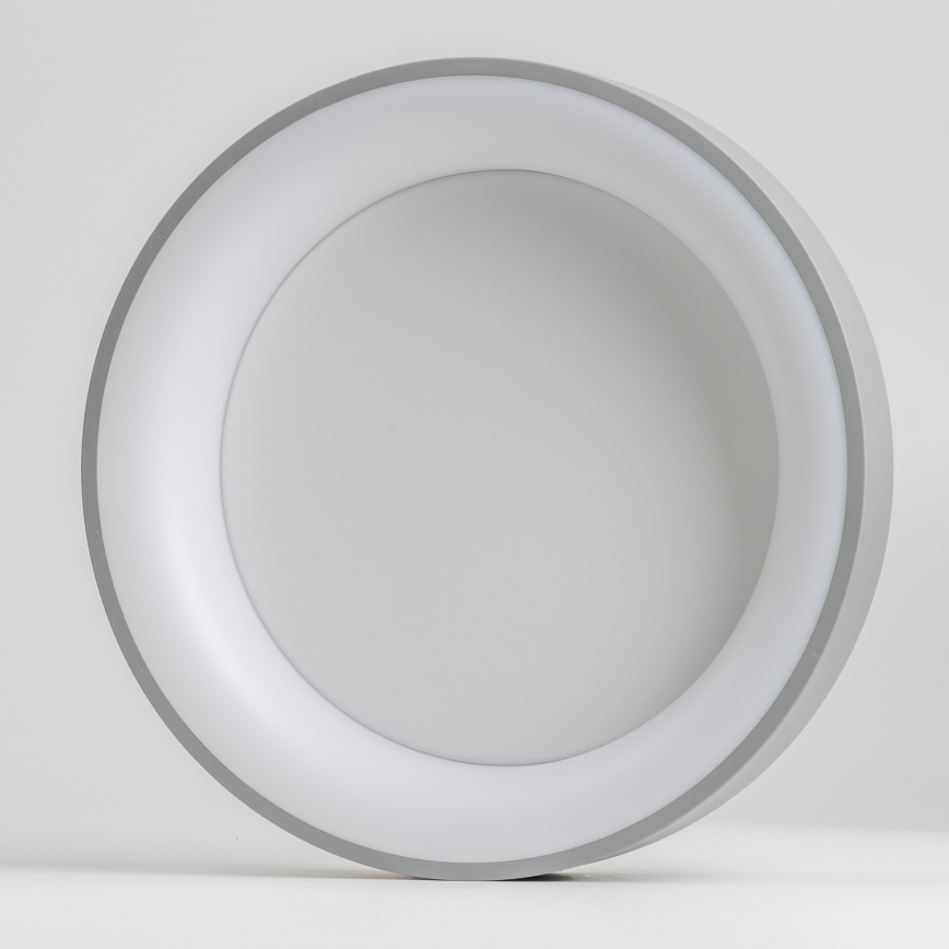 Brilagi - LED-dæmpbar loftlampe FALCON LED/80W/230V 3000-6500K Ø 60 cm grå + fjernbetjening