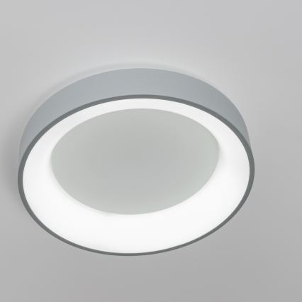 Brilagi - LED-dæmpbar loftlampe FALCON LED/80W/230V 3000-6500K Ø 60 cm grå + fjernbetjening