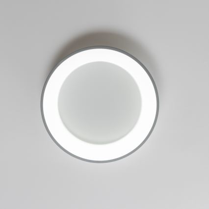 Brilagi - LED-dæmpbar loftlampe FALCON LED/80W/230V 3000-6500K Ø 60 cm grå + fjernbetjening
