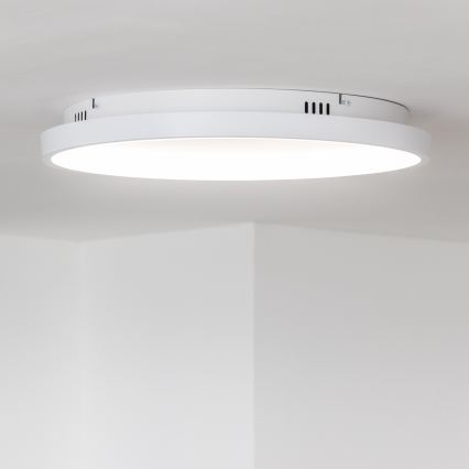 Brilagi - LED dæmpbar loftlampe FALCON SLIM LED/42W/230V 3000-6500K Ø 50 cm hvid + fjernbetjening