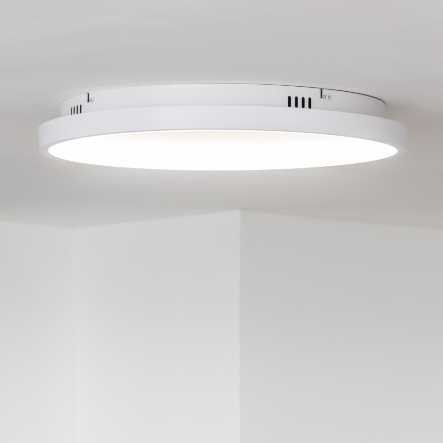 Brilagi - LED dæmpbar loftlampe FALCON SLIM LED/42W/230V 3000-6500K Ø 50 cm hvid + fjernbetjening