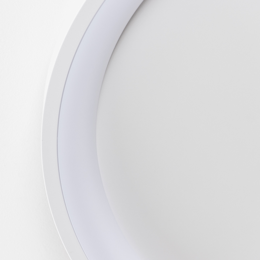 Brilagi - LED dæmpbar loftlampe FALCON SLIM LED/42W/230V 3000-6500K Ø 50 cm hvid + fjernbetjening