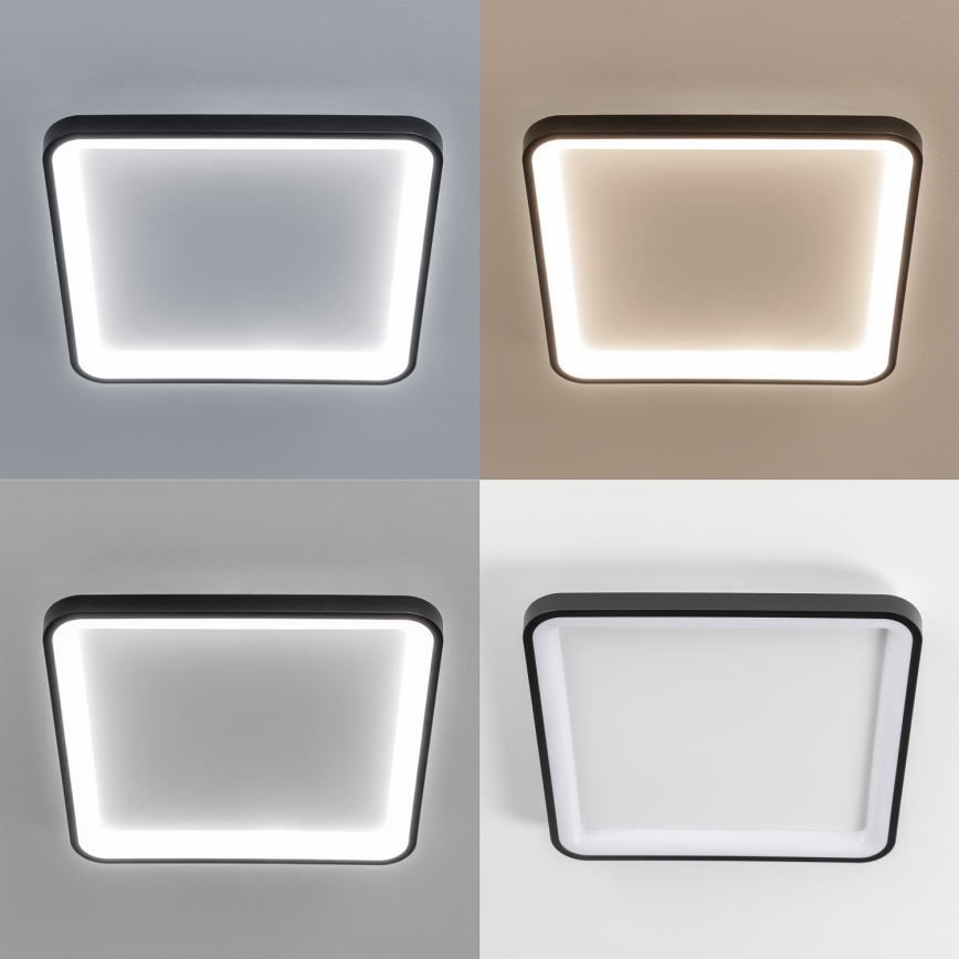 Brilagi - Dæmpbar LED-loftlampe FALCON SLIM LED/50W/230V 3000-6500K 50x50 cm sort + fjernbetjening