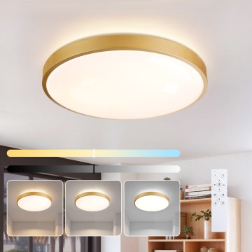 Brilagi - LED dæmpbar loftlampe GLASS POOL DOUBLE LED/60W/230V 3000-6000K 50 cm guldfarvet + fjernbetjening