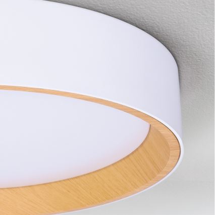 Brilagi - Dæmpbar LED-loftlampe LARIOS LED/72W/230V hvid Ø 59 cm + fjernbetjening