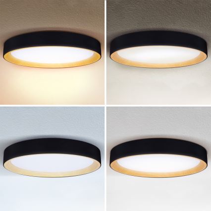 Brilagi - Dæmpbar LED-loftlampe LARIOS LED/72W/230V 3000-6500K sort, diameter 59 cm + fjernbetjening