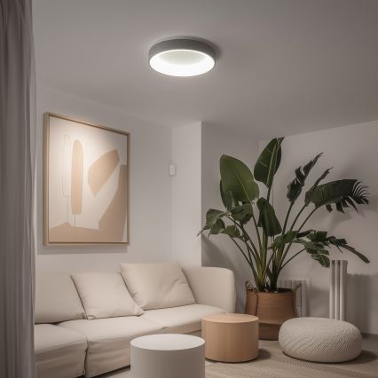 Brilagi - LED dæmpbar loftlampe FALCON LED/40W/230V 3000-6500K Ø 45 cm grå + fjernbetjening