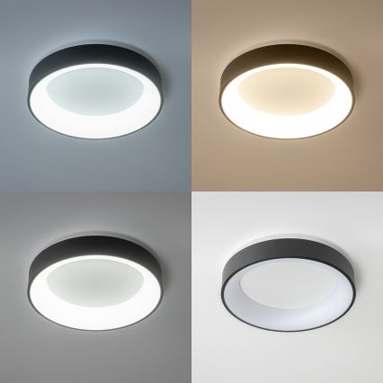 Brilagi - LED dæmpbar loftlampe FALCON LED/40W/230V 3000-6500K Ø 45 cm sort + fjernbetjening