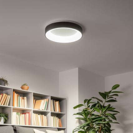 Brilagi - LED dæmpbar loftlampe FALCON LED/40W/230V 3000-6500K Ø 45 cm sort + fjernbetjening