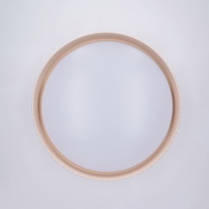 Brilagi - Dæmpbar LED-loftlampe LUCIA LED/48W/230V 3000-6500K Ø 41 cm beige + fjernbetjening