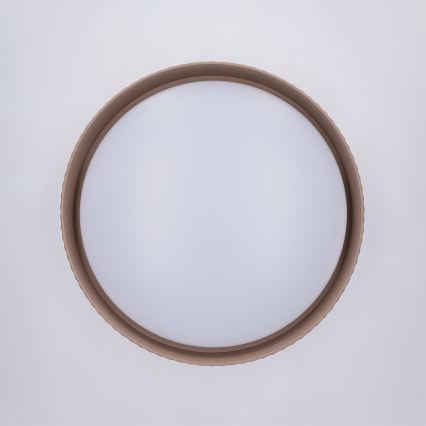 Brilagi - Dæmpbar LED-loftlampe LUCIA LED/48W/230V 3000-6500K Ø 41 cm brun + fjernbetjening