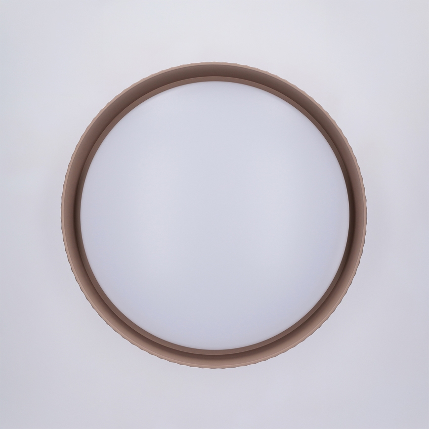 Brilagi - Dæmpbar LED-loftlampe LUCIA LED/48W/230V 3000-6500K Ø 41 cm brun + fjernbetjening