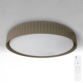 Brilagi - LED-dæmpbar loftlampe LUCIA LED/60W/230V 3000-6500K Ø 59 cm taupe + fjernbetjening