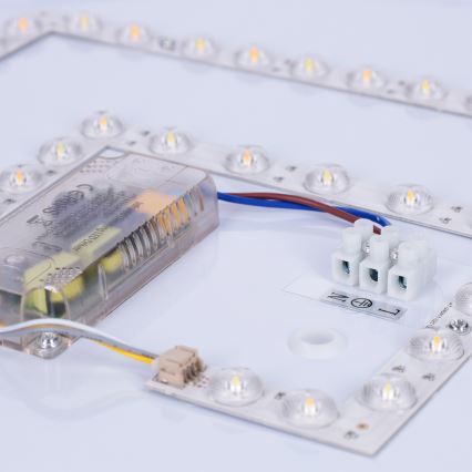 Brilagi - LED dæmpbar loftlampe LUCIA LED/60W/230V 3000-6500K Ø 59 cm grøn + fjernbetjening