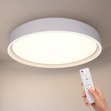 Brilagi - LED-dæmpbar loftlampe NANCI LED/60W/230V 3000-6500K Ø 49 cm hvid + fjernbetjening