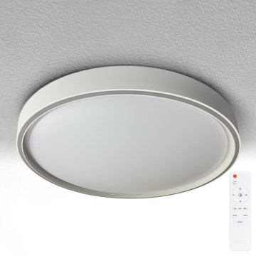 Brilagi - LED dæmpbar loftlampe NANCI LED/60W/230V 3000-6500K Ø 49 cm sølvfarvet + fjernbetjening