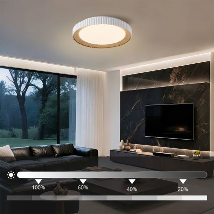 Brilagi - dæmpbar LED-loftlampe NEXO LED/48W/230V 3000-6000K hvid Ø 43 cm + fjernbetjening